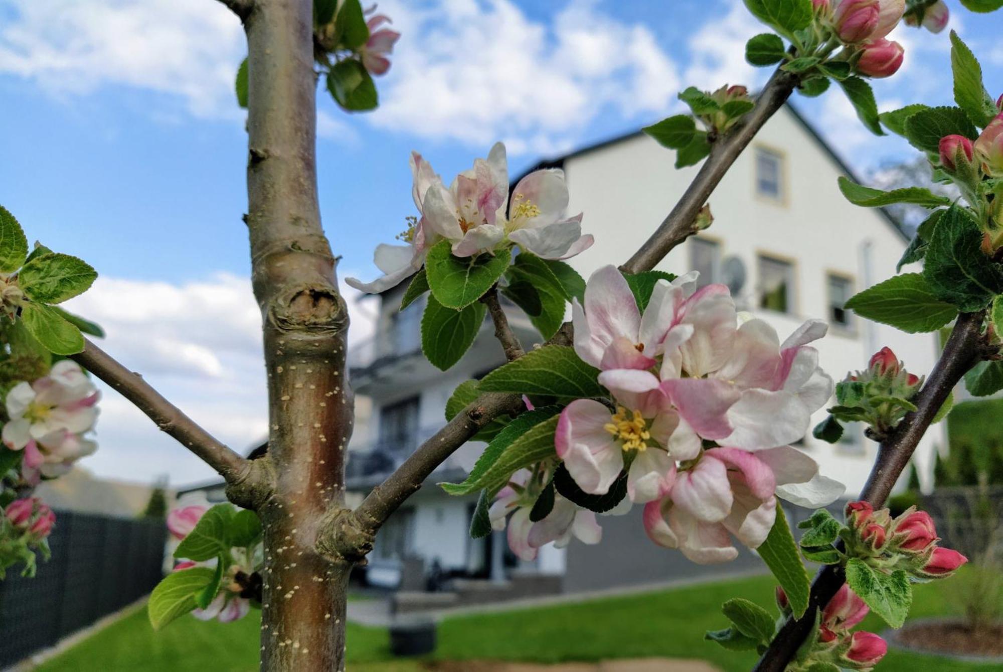 Kleine Auszeit Leilighet Cochem Eksteriør bilde